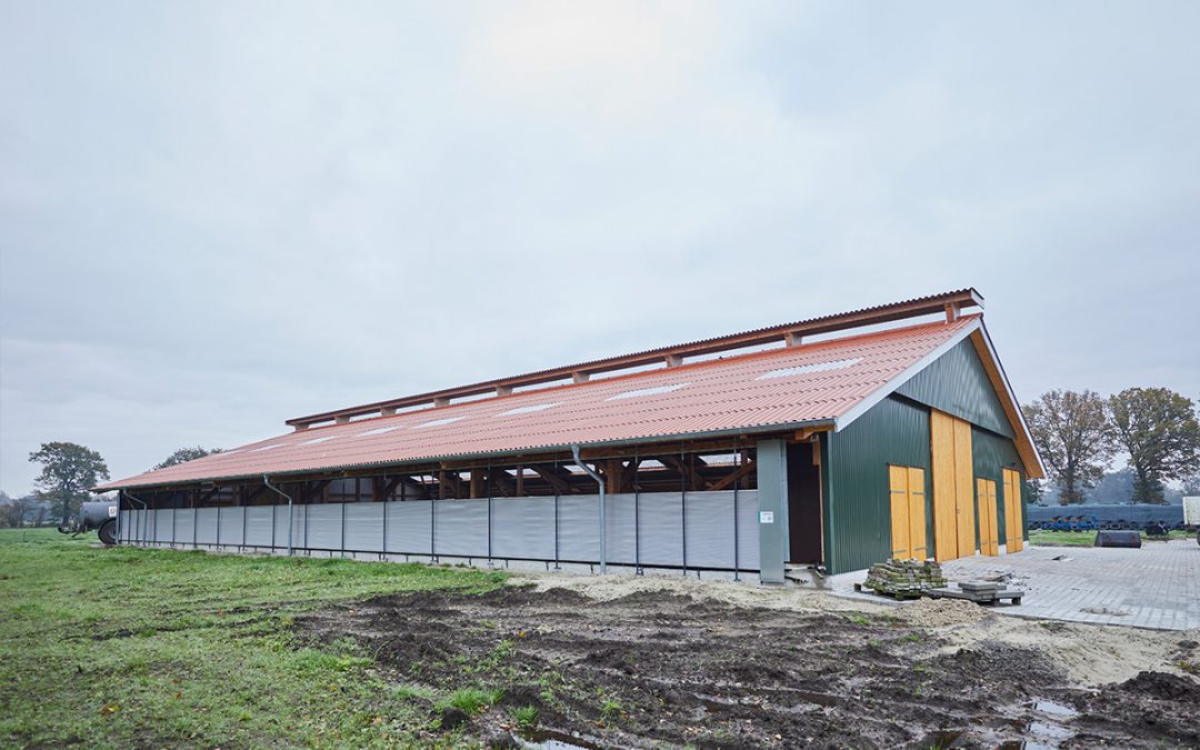 Jungviehstall
